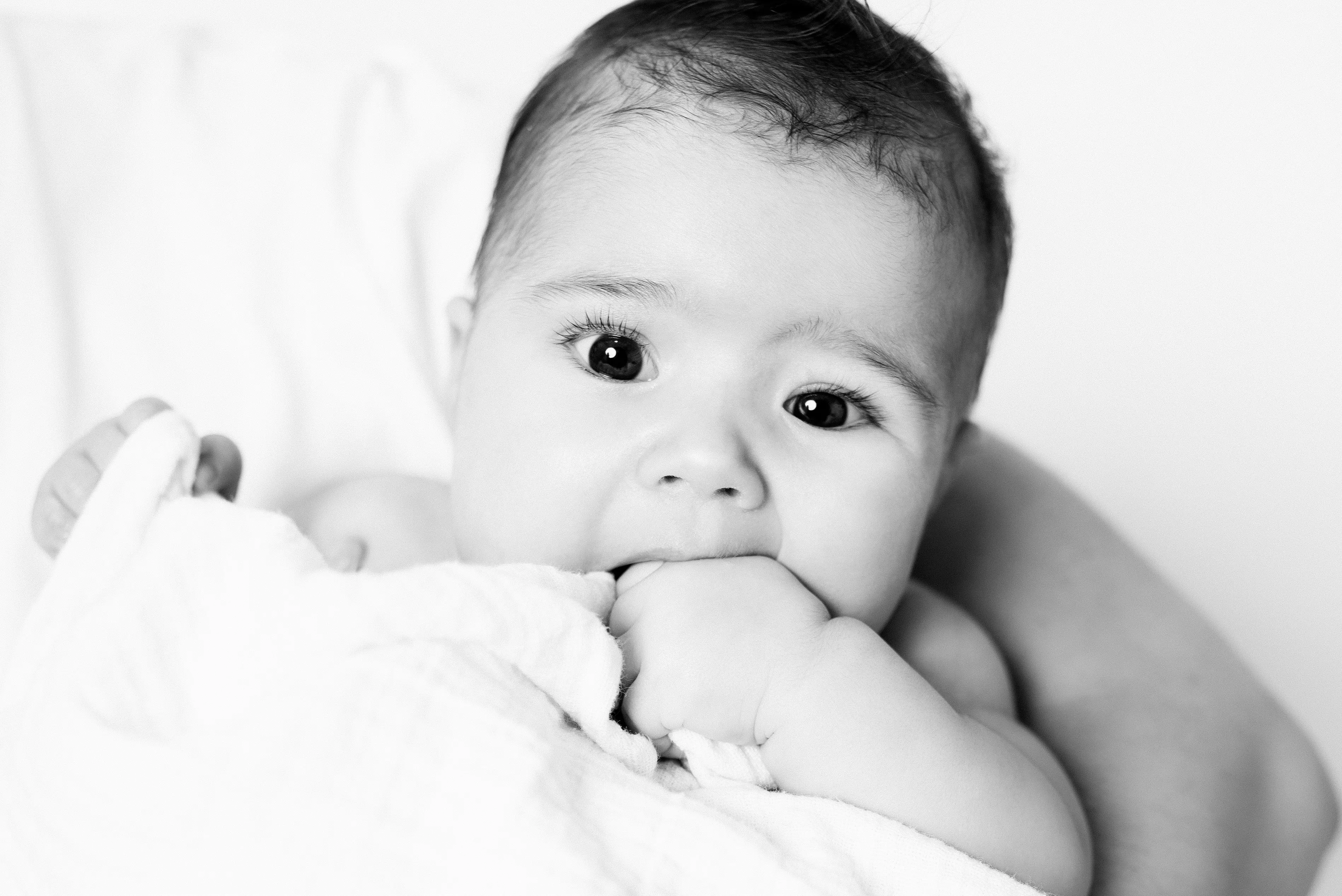 Rodinn&eacute; focen&iacute; Kladno